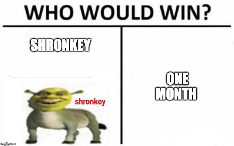 Who Would Win? | SHRONKEY; ONE MONTH | image tagged in memes,who would win | made w/ Imgflip meme maker