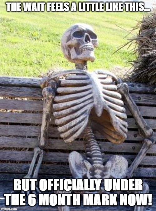 Waiting Skeleton Meme | THE WAIT FEELS A LITTLE LIKE THIS... BUT OFFICIALLY UNDER THE 6 MONTH MARK NOW! | image tagged in memes,waiting skeleton | made w/ Imgflip meme maker