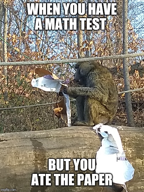 Math | WHEN YOU HAVE A MATH TEST; BUT YOU ATE THE PAPER | image tagged in memes | made w/ Imgflip meme maker