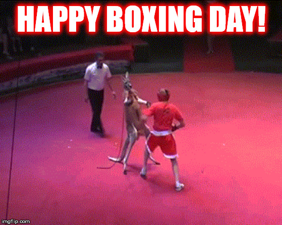 HAPPY BOXING DAY! | HAPPY BOXING DAY! | image tagged in boxing day,kangaroo,boxing,christmas,merry christmas,happy holidays | made w/ Imgflip meme maker