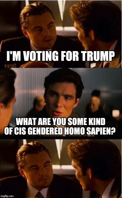 Inception | I'M VOTING FOR TRUMP; WHAT ARE YOU SOME KIND OF CIS GENDERED HOMO SAPIEN? | image tagged in memes,inception | made w/ Imgflip meme maker