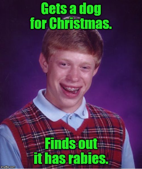 Bad Luck Brian | Gets a dog for Christmas. Finds out it has rabies. | image tagged in memes,bad luck brian | made w/ Imgflip meme maker