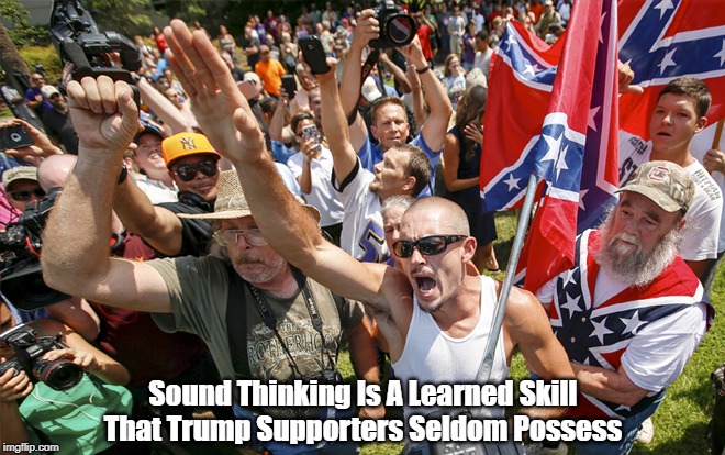 "Sound Thinking Is A Learned Skill That Trump Supporters..." | Sound Thinking Is A Learned Skill
That Trump Supporters Seldom Possess | image tagged in not the brightest bulb in the closet,not the sharpest knife in the drawer,about a half bubble off plumb,dimwits,addlepates,the d | made w/ Imgflip meme maker