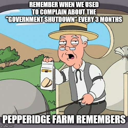 Pepperidge Farm Remembers | REMEMBER WHEN WE USED TO COMPLAIN ABOUT THE "GOVERNMENT SHUTDOWN" EVERY 3 MONTHS; PEPPERIDGE FARM REMEMBERS | image tagged in memes,pepperidge farm remembers | made w/ Imgflip meme maker