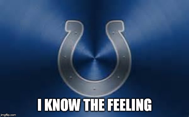 cOLTS14 | I KNOW THE FEELING | image tagged in colts14 | made w/ Imgflip meme maker
