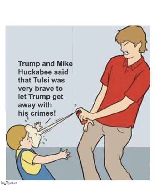 image tagged in donald trump | made w/ Imgflip meme maker