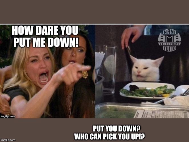 white cat table | HOW DARE YOU 
PUT ME DOWN! PUT YOU DOWN? 
                         WHO CAN PICK YOU UP!? | image tagged in white cat table | made w/ Imgflip meme maker