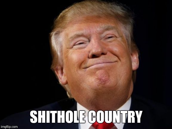 Smug Trump | SHITHOLE COUNTRY | image tagged in smug trump | made w/ Imgflip meme maker
