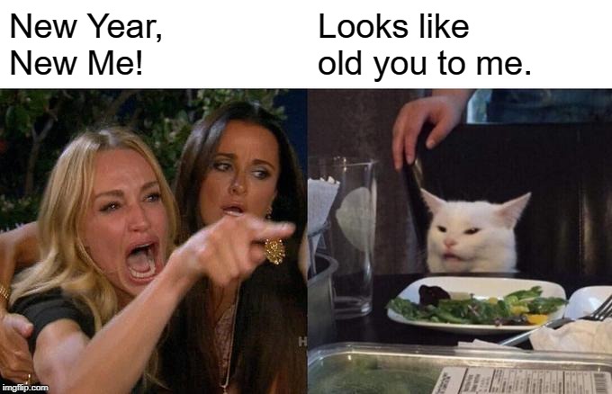 Woman Yelling At Cat | New Year,
New Me! Looks like 
old you to me. | image tagged in memes,woman yelling at cat | made w/ Imgflip meme maker
