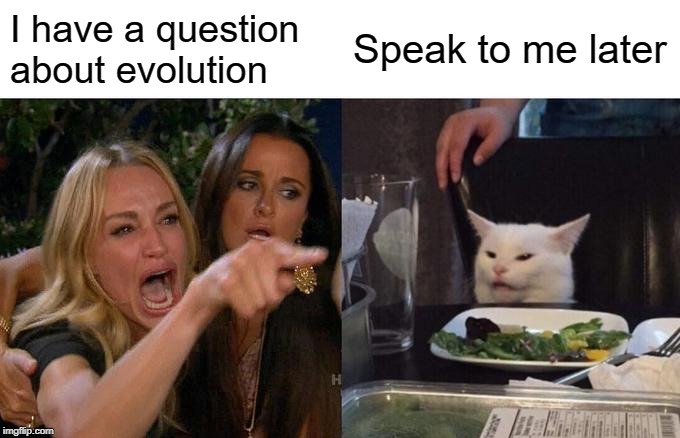 Woman Yelling At Cat | I have a question about evolution; Speak to me later | image tagged in memes,woman yelling at cat | made w/ Imgflip meme maker