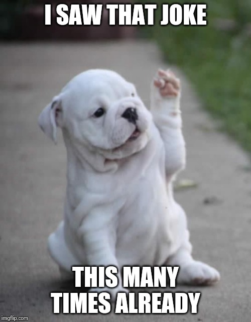 Puppy High Five  | I SAW THAT JOKE THIS MANY TIMES ALREADY | image tagged in puppy high five | made w/ Imgflip meme maker