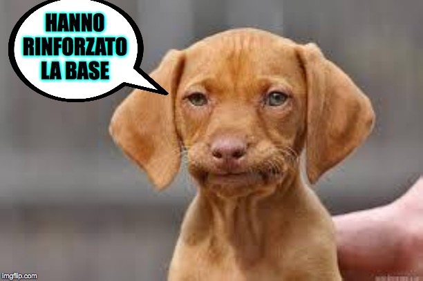 Disappointed Dog | HANNO
RINFORZATO
LA BASE | image tagged in disappointed dog | made w/ Imgflip meme maker