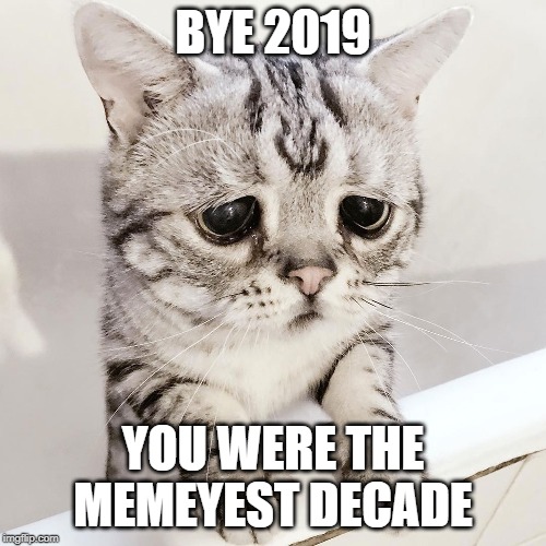 BYE 2019; YOU WERE THE MEMEYEST DECADE | image tagged in cute cat,funny,funny meme,end of decade | made w/ Imgflip meme maker