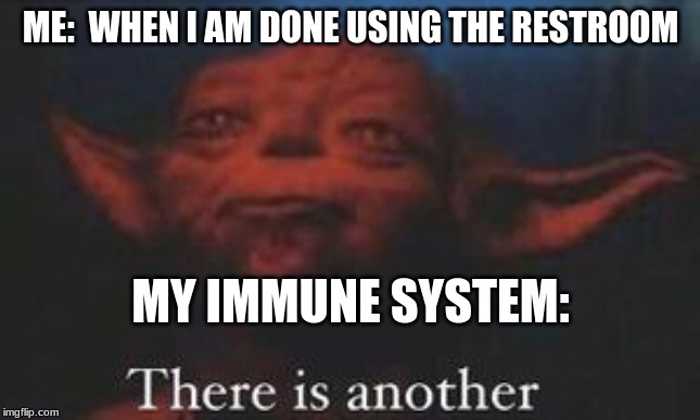 yoda there is another | ME:  WHEN I AM DONE USING THE RESTROOM; MY IMMUNE SYSTEM: | image tagged in yoda there is another | made w/ Imgflip meme maker