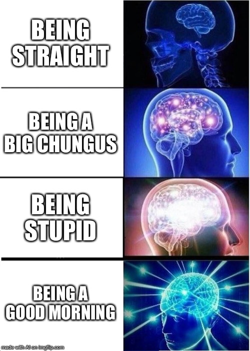 Expanding Brain Meme | BEING STRAIGHT; BEING A BIG CHUNGUS; BEING STUPID; BEING A GOOD MORNING | image tagged in memes,expanding brain | made w/ Imgflip meme maker
