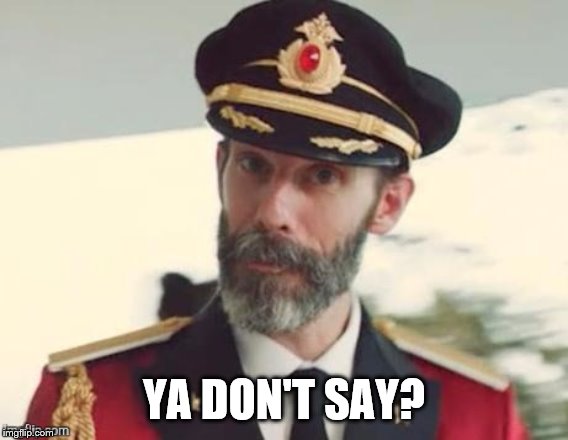 Capt Obvious  | YA DON'T SAY? | image tagged in capt obvious | made w/ Imgflip meme maker