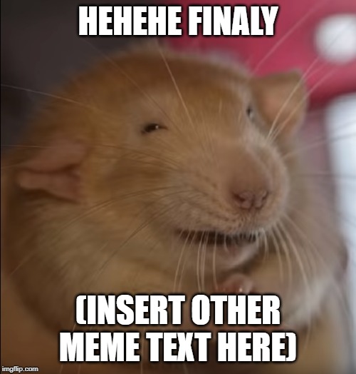 Sneaky mouse | HEHEHE FINALY; (INSERT OTHER MEME TEXT HERE) | image tagged in sneaky mouse | made w/ Imgflip meme maker