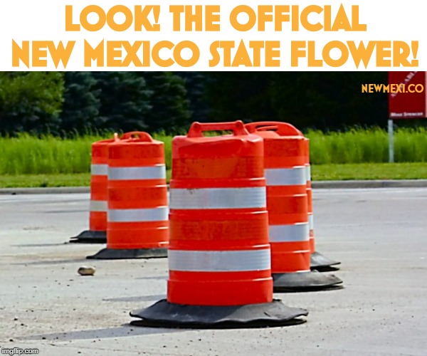 Construction Barrel | LOOK! THE OFFICIAL NEW MEXICO STATE FLOWER! NEWMEXI.CO | image tagged in construction barrel | made w/ Imgflip meme maker