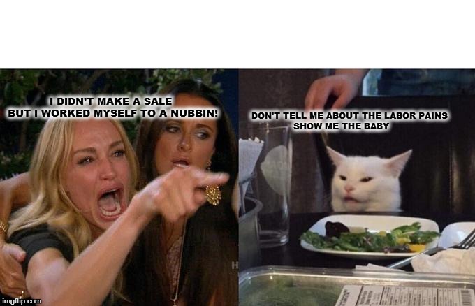 Woman Yelling At Cat | I DIDN'T MAKE A SALE
BUT I WORKED MYSELF TO A NUBBIN! DON'T TELL ME ABOUT THE LABOR PAINS
               SHOW ME THE BABY | image tagged in memes,woman yelling at cat | made w/ Imgflip meme maker