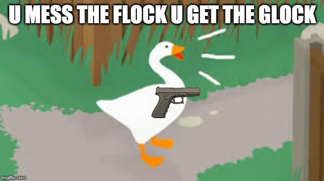 u put up signs in the wrong neighborhood | U MESS THE FLOCK U GET THE GLOCK | image tagged in untitled goose peace was never an option,glock,funny | made w/ Imgflip meme maker