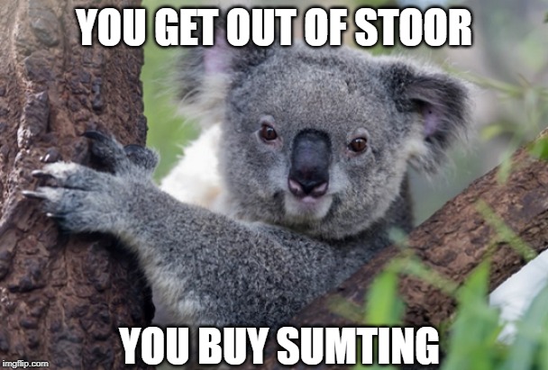 Mr. Wong at the gas station | YOU GET OUT OF STOOR; YOU BUY SUMTING | image tagged in funny,koala,chinese,dumb | made w/ Imgflip meme maker