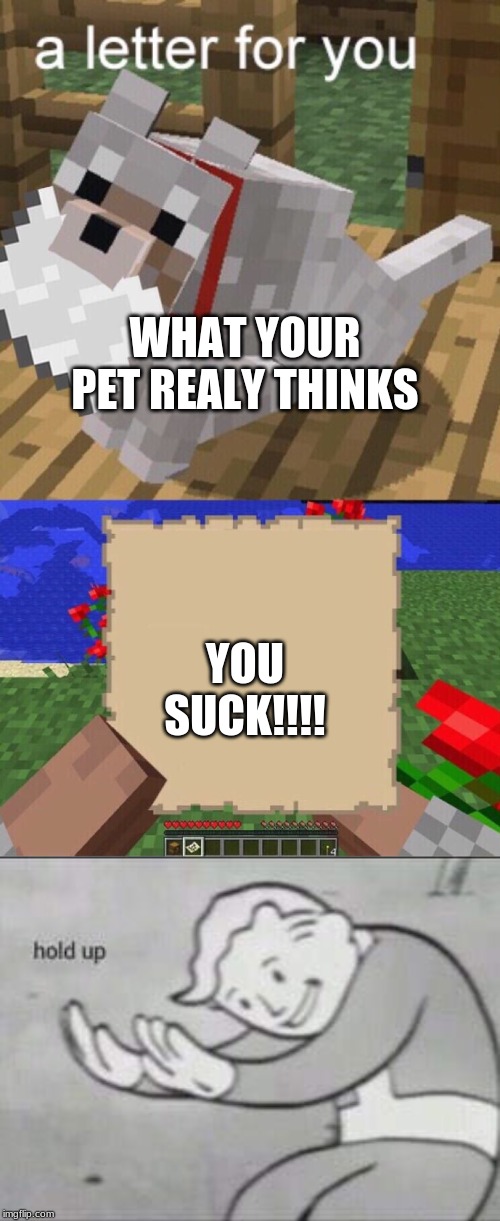 WHAT YOUR PET REALY THINKS; YOU SUCK!!!! | image tagged in fallout hold up,minecraft mail | made w/ Imgflip meme maker