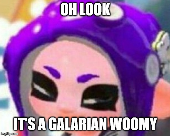 Smug Veemo | OH LOOK; IT'S A GALARIAN WOOMY | image tagged in smug veemo | made w/ Imgflip meme maker