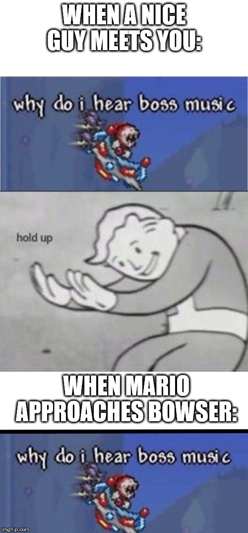 WHEN A NICE GUY MEETS YOU:; WHEN MARIO APPROACHES BOWSER: | image tagged in fallout hold up,why do i hear boss music | made w/ Imgflip meme maker