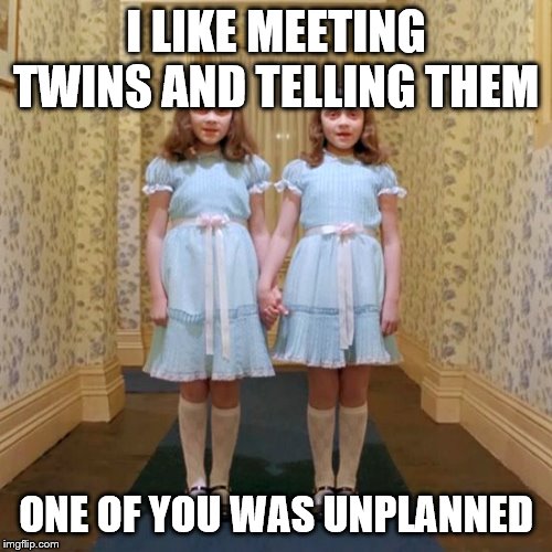 Twins from The Shining | I LIKE MEETING TWINS AND TELLING THEM; ONE OF YOU WAS UNPLANNED | image tagged in twins from the shining | made w/ Imgflip meme maker