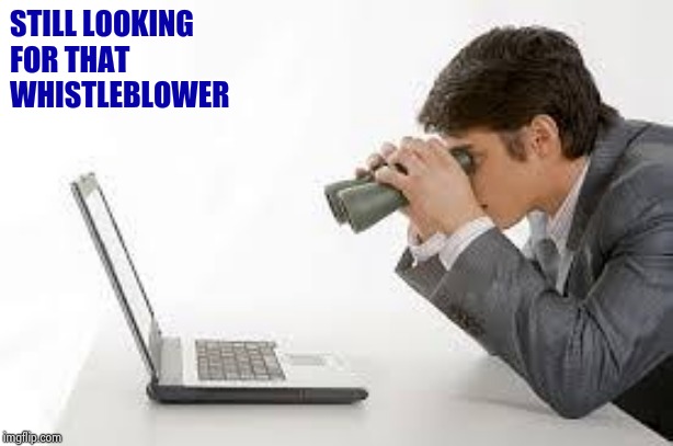 Searching Computer | STILL LOOKING             
FOR THAT             
WHISTLEBLOWER | image tagged in searching computer | made w/ Imgflip meme maker