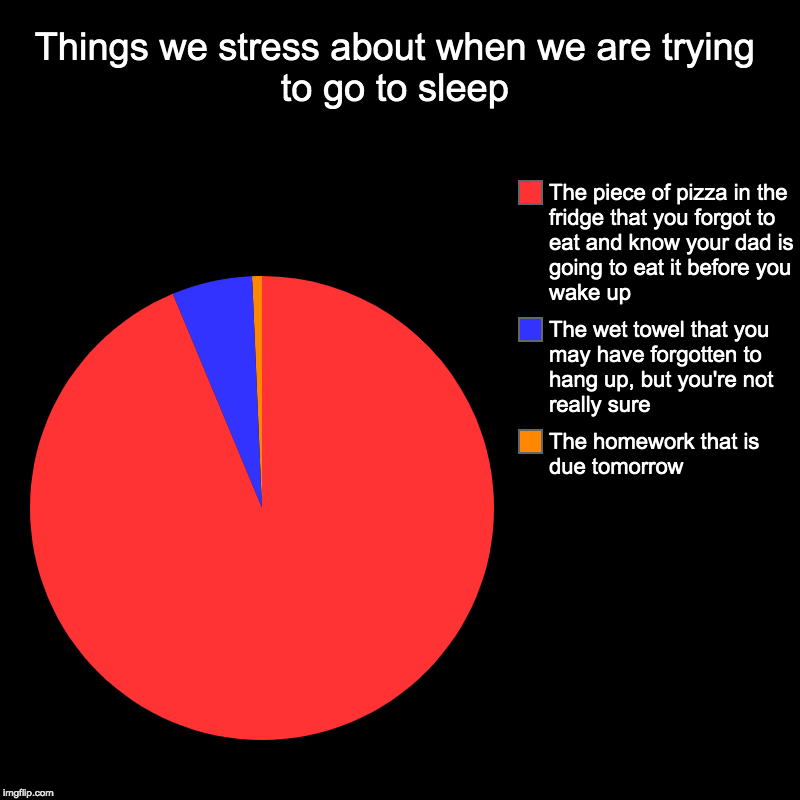 Things we stress about when we are trying to go to sleep | The homework that is due tomorrow, The wet towel that you may have forgotten to h | image tagged in charts,pie charts | made w/ Imgflip chart maker