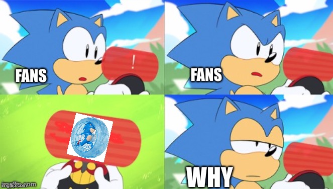 The Sonic Mania Meme | FANS; FANS; WHY | image tagged in the sonic mania meme | made w/ Imgflip meme maker