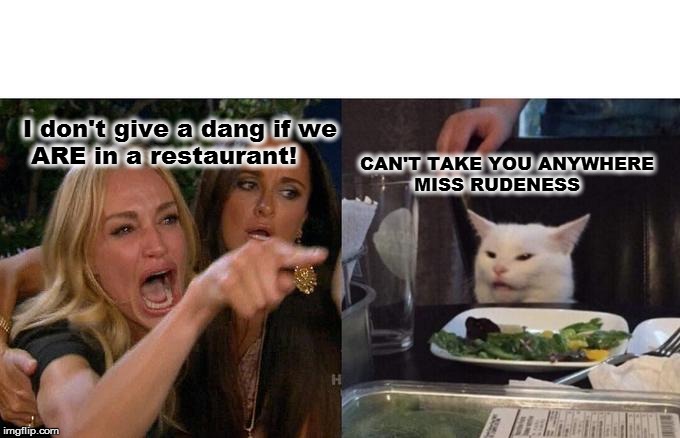 Woman Yelling At Cat Meme | I don't give a dang if we
 ARE in a restaurant! CAN'T TAKE YOU ANYWHERE
         MISS RUDENESS | image tagged in memes,woman yelling at cat | made w/ Imgflip meme maker