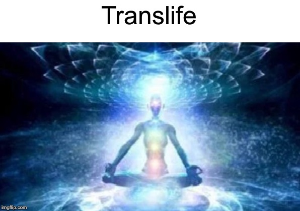 Translife | made w/ Imgflip meme maker