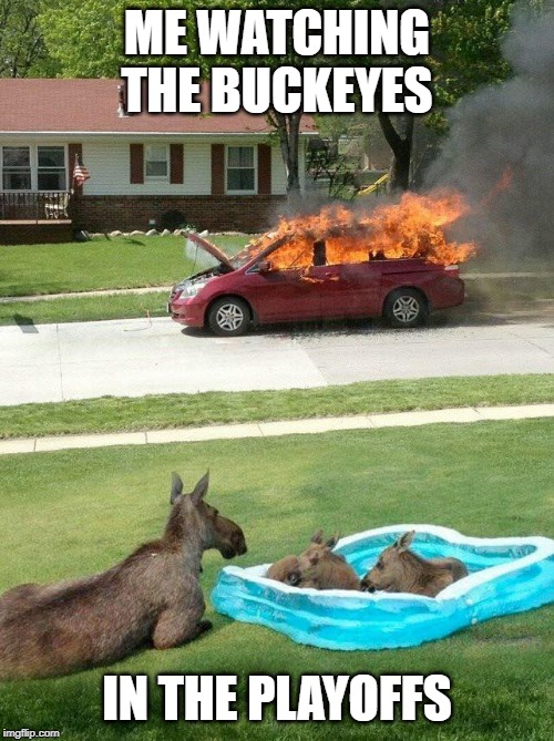 Moose watching car fire | ME WATCHING THE BUCKEYES; IN THE PLAYOFFS | image tagged in moose watching car fire | made w/ Imgflip meme maker