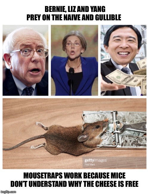 Socialism is a control mechanism | BERNIE, LIZ AND YANG PREY ON THE NAIVE AND GULLIBLE; MOUSETRAPS WORK BECAUSE MICE DON’T UNDERSTAND WHY THE CHEESE IS FREE | image tagged in bernie sanders,elizabeth warren,yang,socialism,mice | made w/ Imgflip meme maker