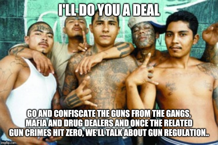 mexican gang members | I'LL DO YOU A DEAL; GO AND CONFISCATE THE GUNS FROM THE GANGS, MAFIA AND DRUG DEALERS AND ONCE THE RELATED GUN CRIMES HIT ZERO, WE'LL TALK ABOUT GUN REGULATION.. | image tagged in mexican gang members | made w/ Imgflip meme maker