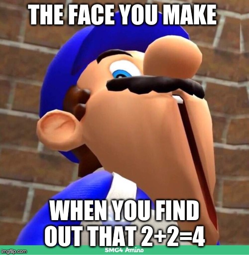 smg4's face | THE FACE YOU MAKE; WHEN YOU FIND OUT THAT 2+2=4 | image tagged in smg4's face | made w/ Imgflip meme maker