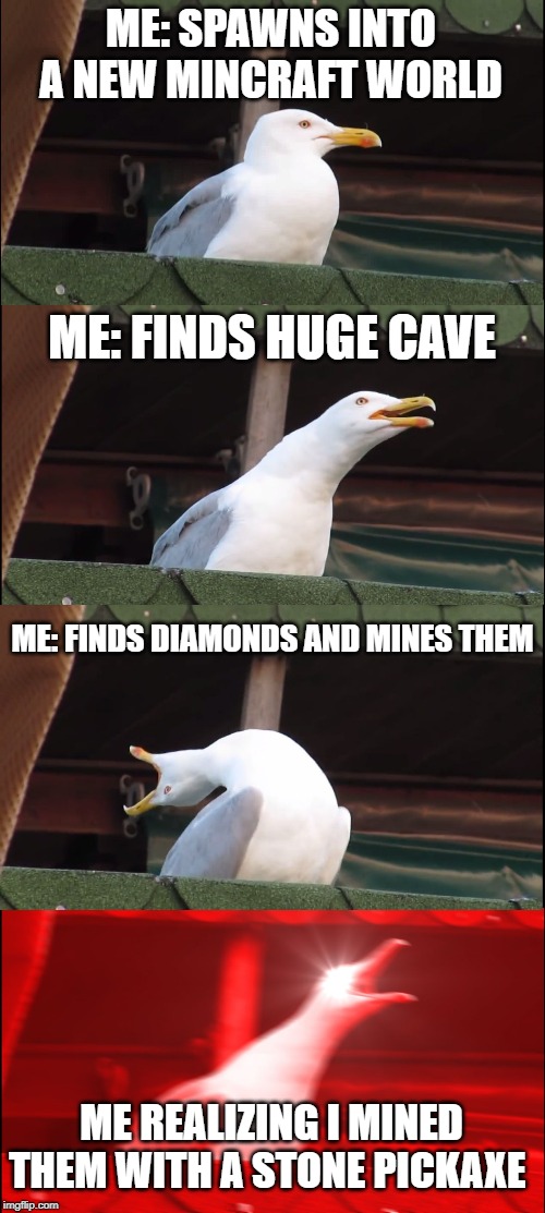 Inhaling Seagull Meme | ME: SPAWNS INTO A NEW MINCRAFT WORLD; ME: FINDS HUGE CAVE; ME: FINDS DIAMONDS AND MINES THEM; ME REALIZING I MINED THEM WITH A STONE PICKAXE | image tagged in memes,inhaling seagull | made w/ Imgflip meme maker