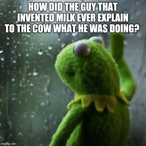 sometimes I wonder  | HOW DID THE GUY THAT INVENTED MILK EVER EXPLAIN TO THE COW WHAT HE WAS DOING? | image tagged in sometimes i wonder | made w/ Imgflip meme maker