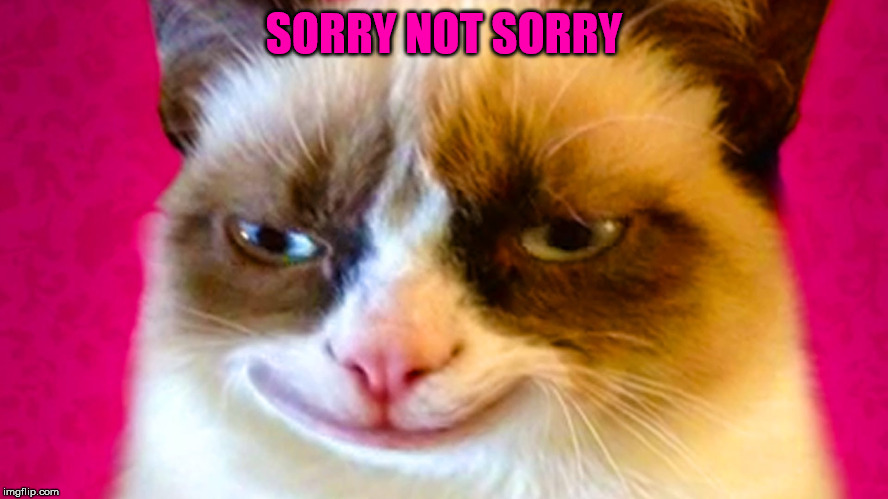 SORRY NOT SORRY | made w/ Imgflip meme maker