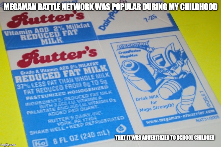 Megaman Battle Network Advertising | MEGAMAN BATTLE NETWORK WAS POPULAR DURING MY CHILDHOOD; THAT IT WAS ADVERTISZED TO SCHOOL CHILDREN | image tagged in megaman,megaman nt warrior,megaman battle network,memes | made w/ Imgflip meme maker