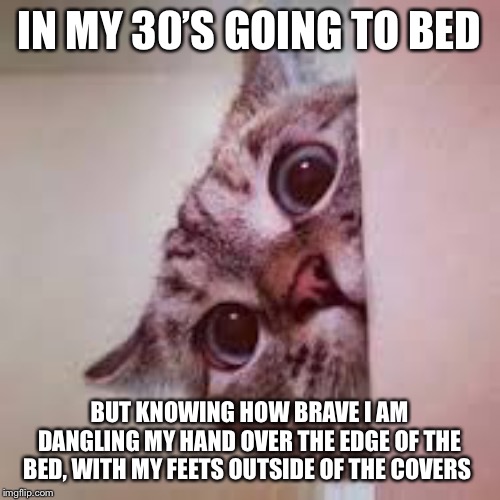 scared cat | IN MY 30’S GOING TO BED; BUT KNOWING HOW BRAVE I AM DANGLING MY HAND OVER THE EDGE OF THE BED, WITH MY FEETS OUTSIDE OF THE COVERS | image tagged in scared cat | made w/ Imgflip meme maker