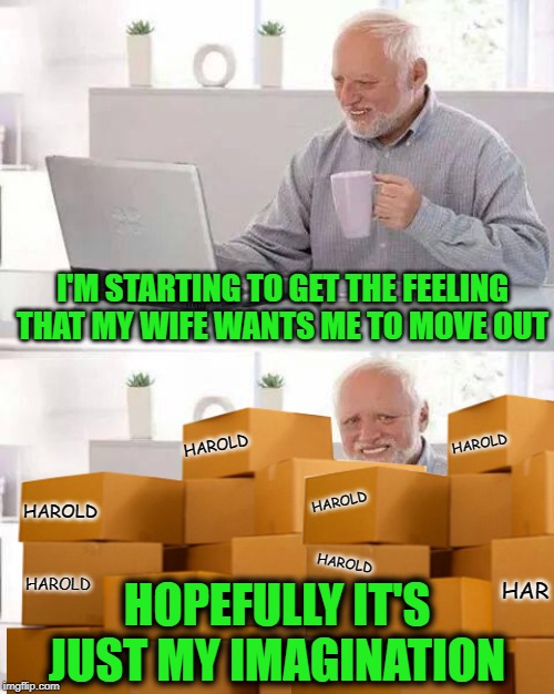Get Out | I'M STARTING TO GET THE FEELING THAT MY WIFE WANTS ME TO MOVE OUT; HAROLD; HAROLD; HAROLD; HAROLD; HAROLD; HAR; HAROLD; HOPEFULLY IT'S JUST MY IMAGINATION | image tagged in memes,funny memes,hide the pain harold,married | made w/ Imgflip meme maker