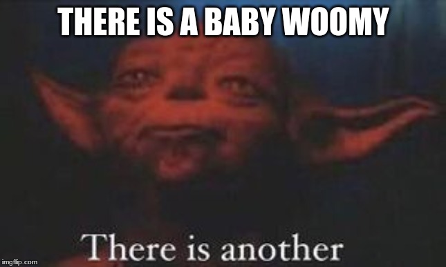 yoda there is another | THERE IS A BABY WOOMY | image tagged in yoda there is another | made w/ Imgflip meme maker