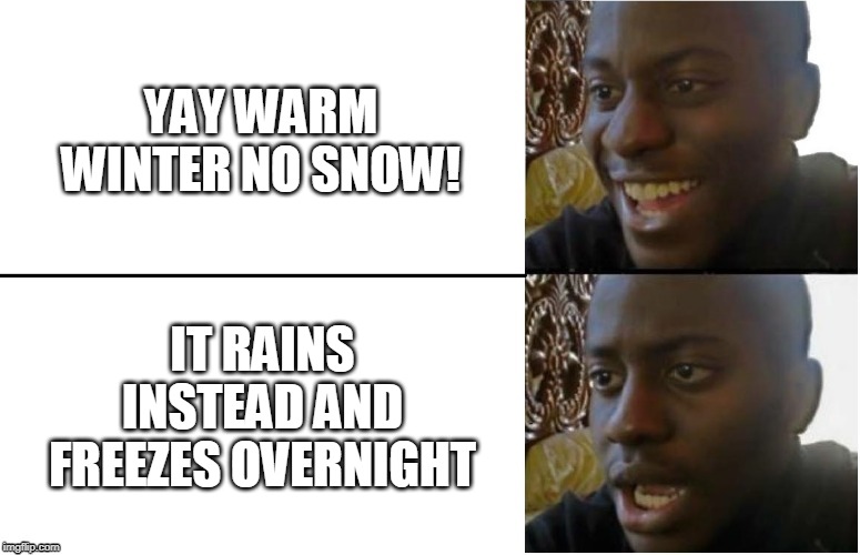 Disappointed Black Guy (Textboxes fixed) | YAY WARM WINTER NO SNOW! IT RAINS INSTEAD AND FREEZES OVERNIGHT | image tagged in disappointed black guy textboxes fixed | made w/ Imgflip meme maker