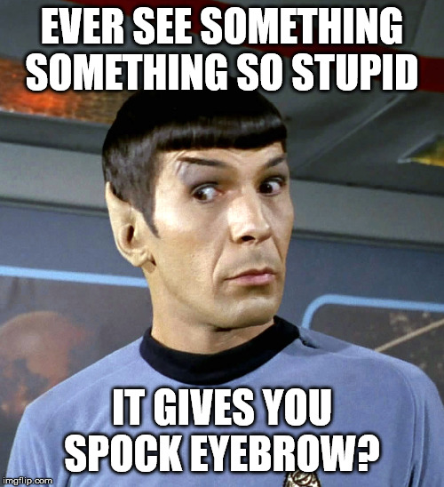 EVER SEE SOMETHING SOMETHING SO STUPID; IT GIVES YOU SPOCK EYEBROW? | image tagged in spock,eyebrow,special kind of stupid | made w/ Imgflip meme maker