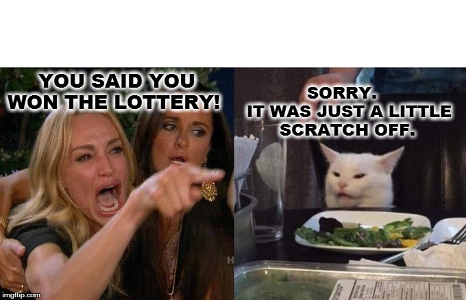 Woman Yelling At Cat | YOU SAID YOU 
WON THE LOTTERY! SORRY.
IT WAS JUST A LITTLE 
      SCRATCH OFF. | image tagged in memes,woman yelling at cat | made w/ Imgflip meme maker