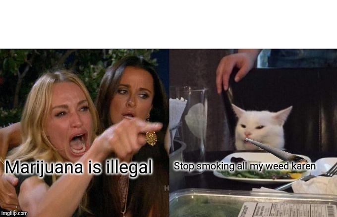 Woman Yelling At Cat Meme | Marijuana is illegal; Stop smoking all my weed karen | image tagged in memes,woman yelling at cat | made w/ Imgflip meme maker