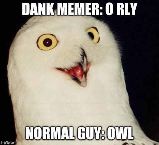O RLY? | DANK MEMER: O RLY; NORMAL GUY: OWL | image tagged in o rly | made w/ Imgflip meme maker